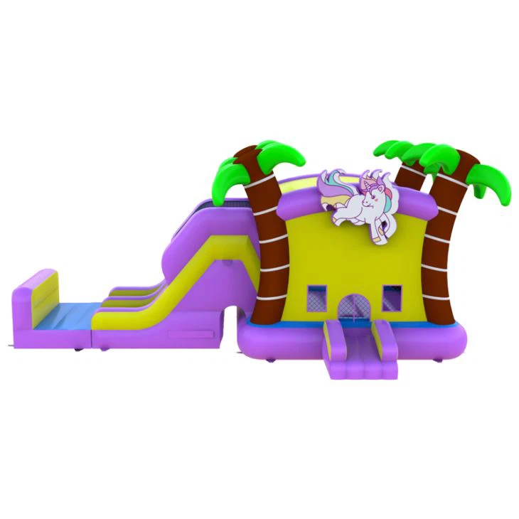 Bounce House Combo Slide